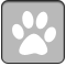 dog-walking