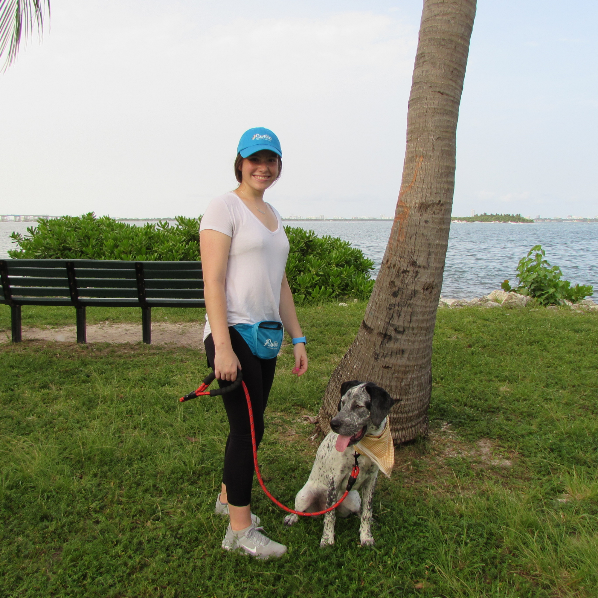 Hiring a Pet Sitter in Miami