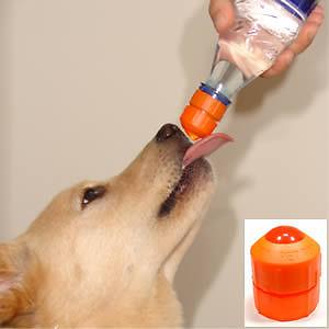 Dog lick water bottle